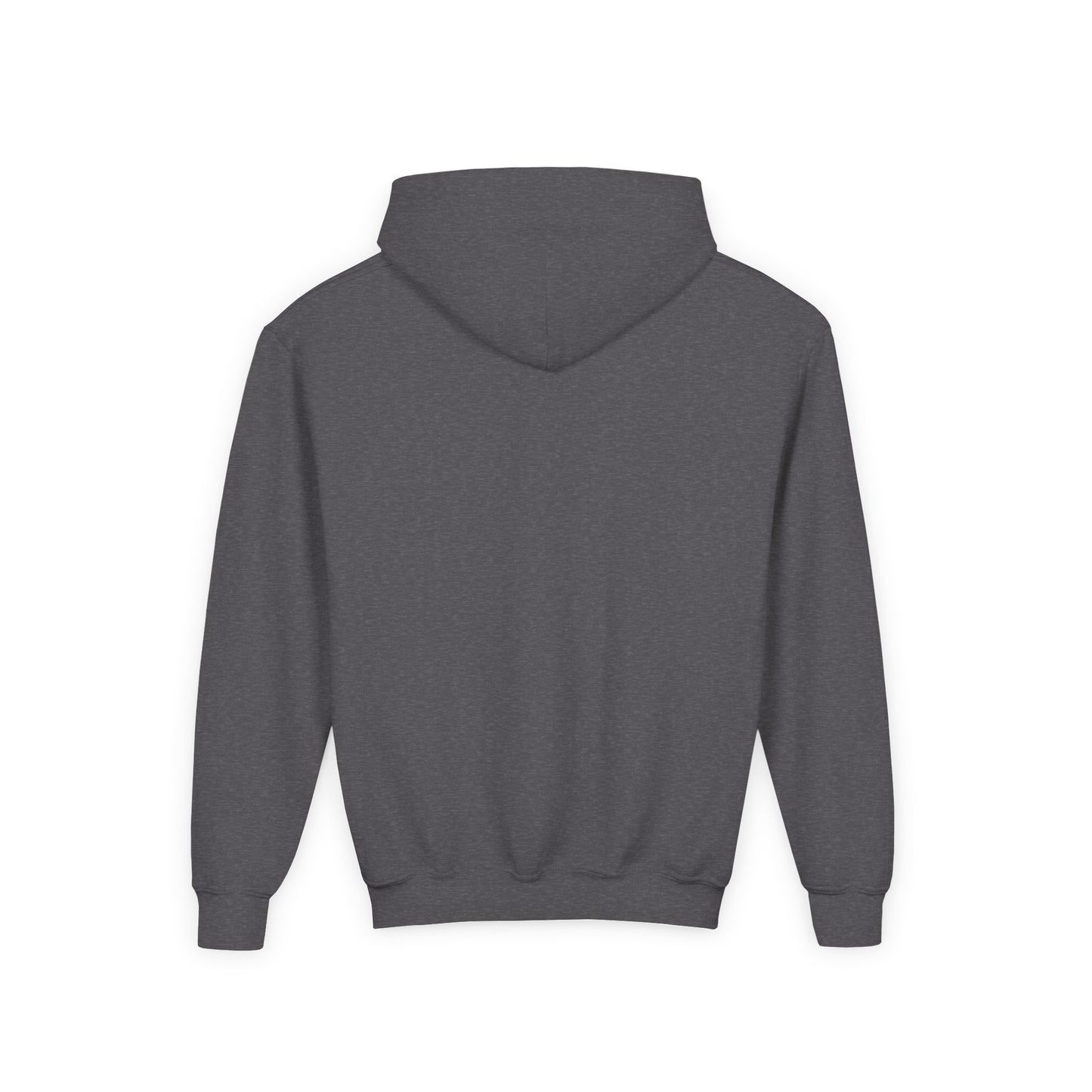 CHEEKY GOOSE ON A MISSION HOODIE