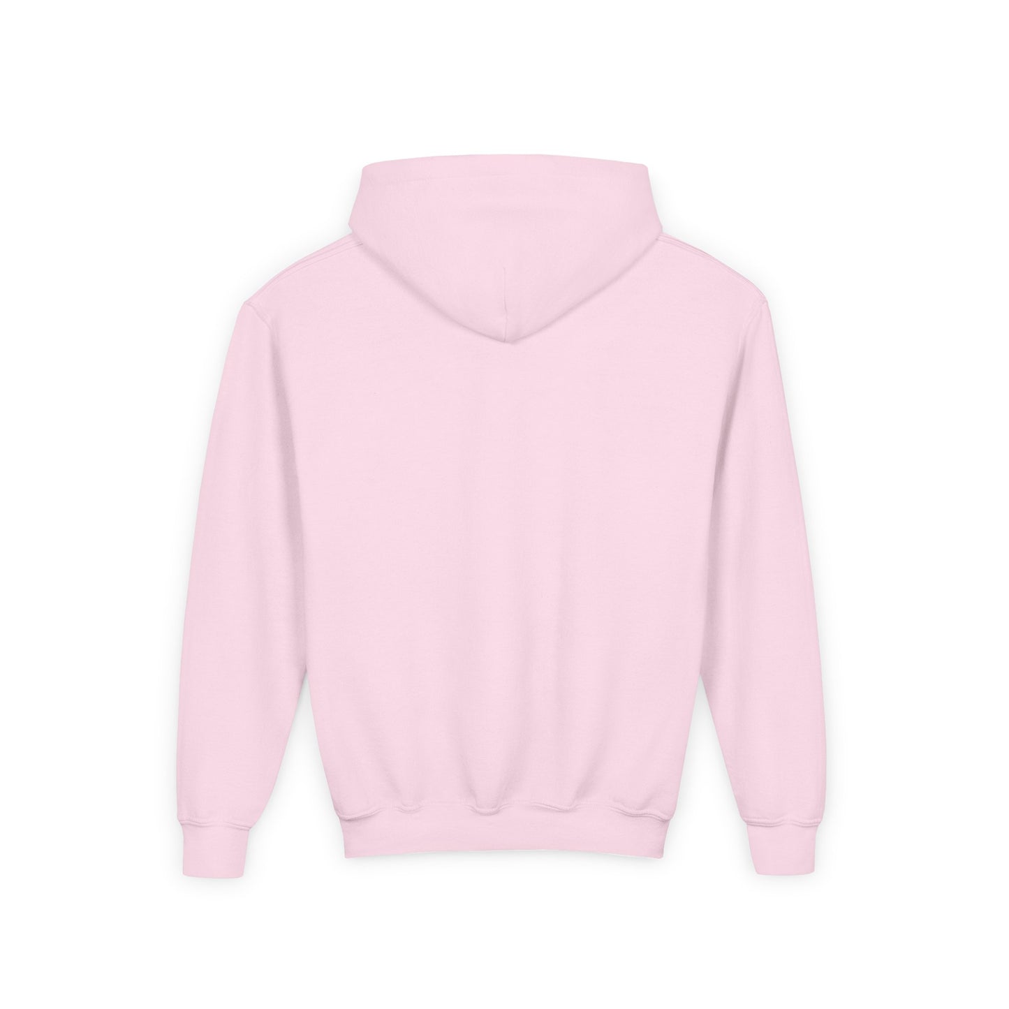 CHEEKY GOOSE ON A MISSION HOODIE