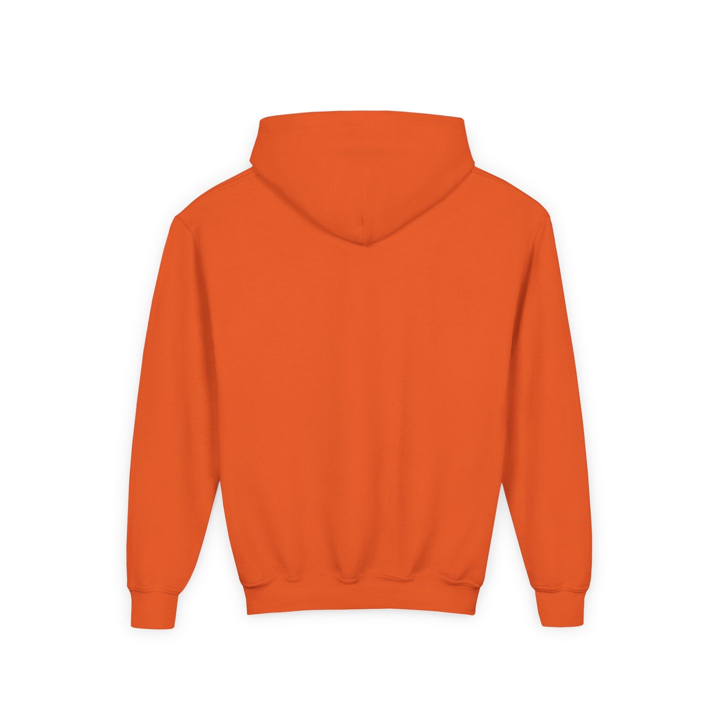 CHEEKY GOOSE ON A MISSION HOODIE